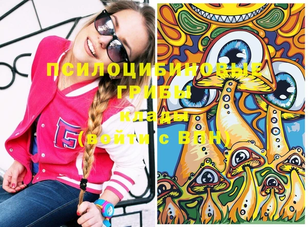 гашик Бугульма