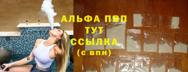 Альфа ПВП Бородино