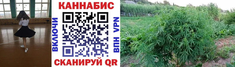 даркнет сайт  Дальнереченск  Шишки марихуана конопля 